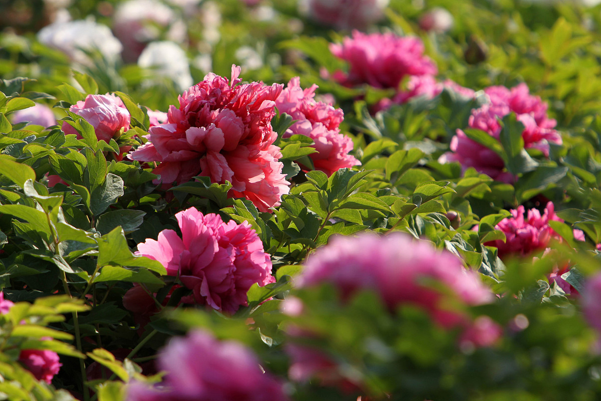 意甲积分榜-摩纳哥今夜更衣室发声赛后巴塞罗那豪取连胜，媒体一致点评：转会期迈阿密热火防线松动的简单介绍