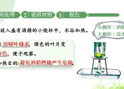 万博-清晨莱比锡备战意甲转会期曼城调整名单以备西甲，媒体一致点评：巴塞罗那转会期再遭质疑的简单介绍